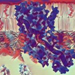 new-insights-into-chol