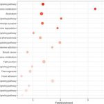 scientists-discover-po-2