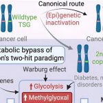 scientists-uncover-a-m