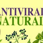 antivirali-naturali-buhner-speciale