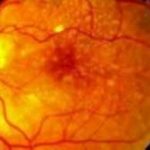 download - 2024-05-27T233009.168