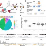 epigenomic-analysis-sh