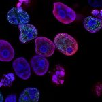 harnessing-the-power-o