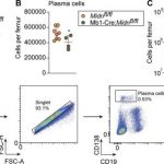 mutations-protect-mice