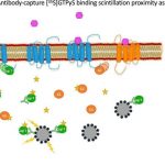 new-avenues-to-develop-1