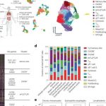 researchers-identify-p-7