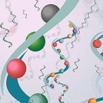 researchers-reveal-a-n