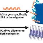 therapeutic-target-ide