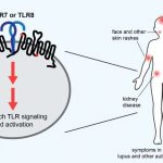 tracking-down-the-gene