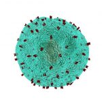 car-t-cell