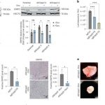 unlocking-the-secrets-14