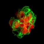 researchers-identify-k-3