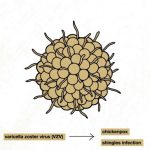 scientists-identify-ke