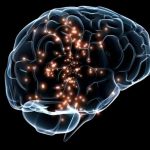 scientists-may-have-di