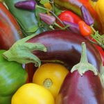 solanacee-quali-sono