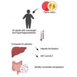 a-camu-camu-fruit-extr