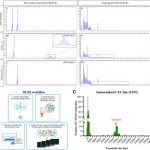 key-mechanism-behind-c
