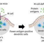 proteins-in-meat-milk