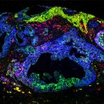 researchers-develop-in-2