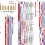 starving-cancer-cells-3 (1)