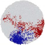 cancers-grow-uniformly