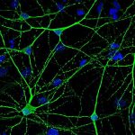 innovative-protocol-ma