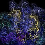 new-huntingtons-treatm