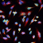 researchers-identify-s-4