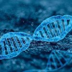 gene-therapy