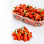 bacche-di-goji-fresche