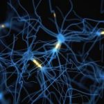 cervello-neuroni-blu-300x211-300x211
