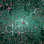 diet-microbes-and-fat