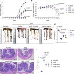 u-of-t-researchers-lea
