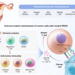 1-s2.0-S2352304224002393-gr3