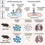 controlling-cell-acidi