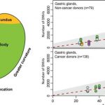 earliest-stages-and-po-1