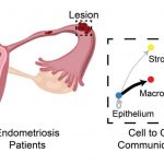 msu-researchers-make-p