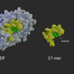 nih-researchers-develo