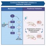 novel-oral-drug-therap