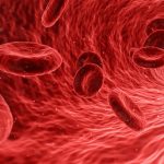 sangue-globuli-rossi-cellule