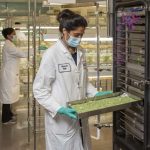 commonly-prescribed-me