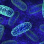 Assistant Professor David Lee receives grant to explore mitochondria in aging