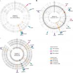 phage-therapy-may-trea