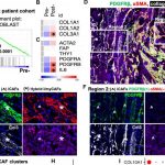 fiery-cell-death-durin