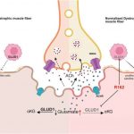 groundbreaking-study-o