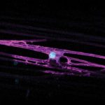 researchers-identify-g-3