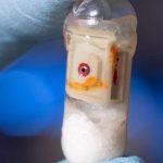 these-exploding-capsul-1