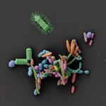 unexpected-side-effect