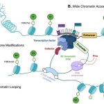 1-s2.0-S2352304225001412-gr3