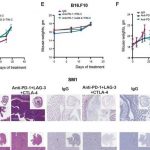 moffitt-study-finds-pr